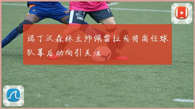 诺丁汉森林主帅佩雷拉或将离任球队幕后动向引关注