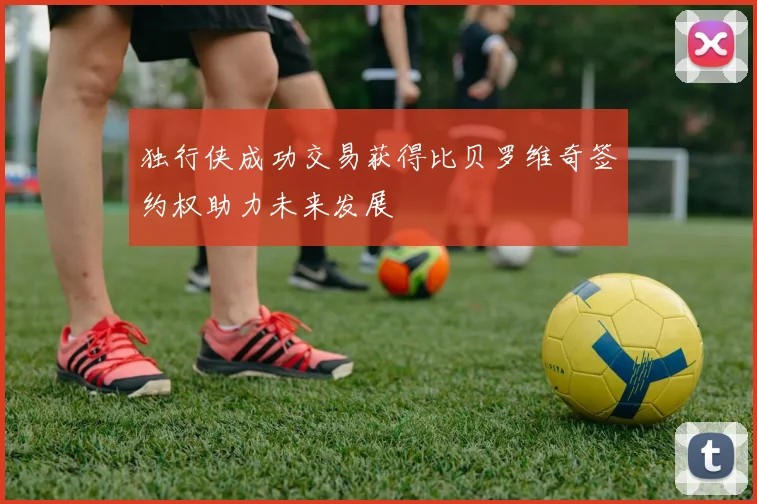 独行侠成功交易获得比贝罗维奇签约权助力未来发展
